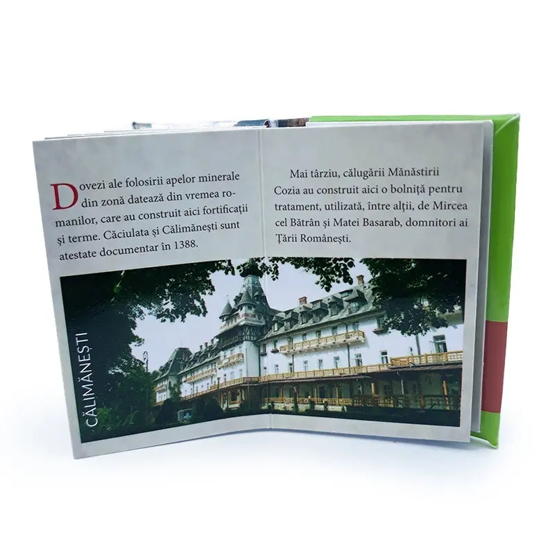 Valea oltului, magnet carte, model 2048g